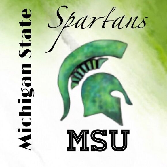 Michigan State University Spartan Closet Collection - Picture 1 of 2
